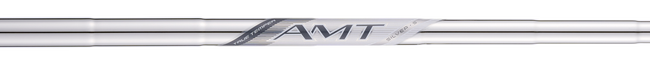 AMT Silver G2
